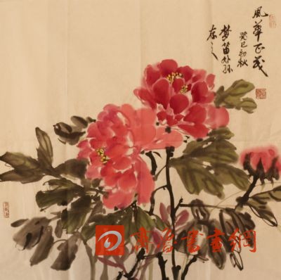 С͢绪ï 鿴ϸܣ