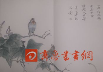 һ 鿴ϸܣ