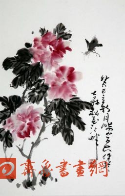 Ժ鲨 鿴ϸܣ