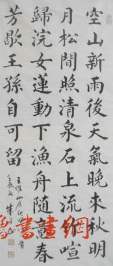鷨 鿴ϸܣ