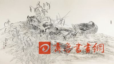  鿴ϸܣ